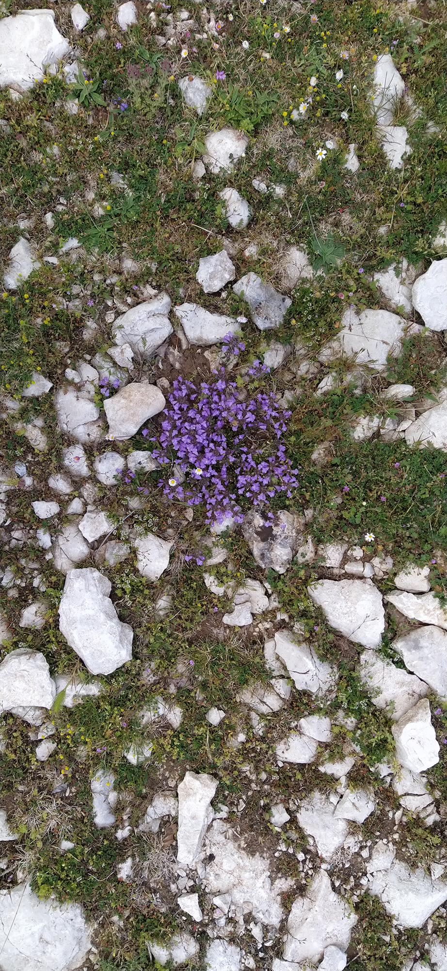 Euskal Herriko ehundurak 4