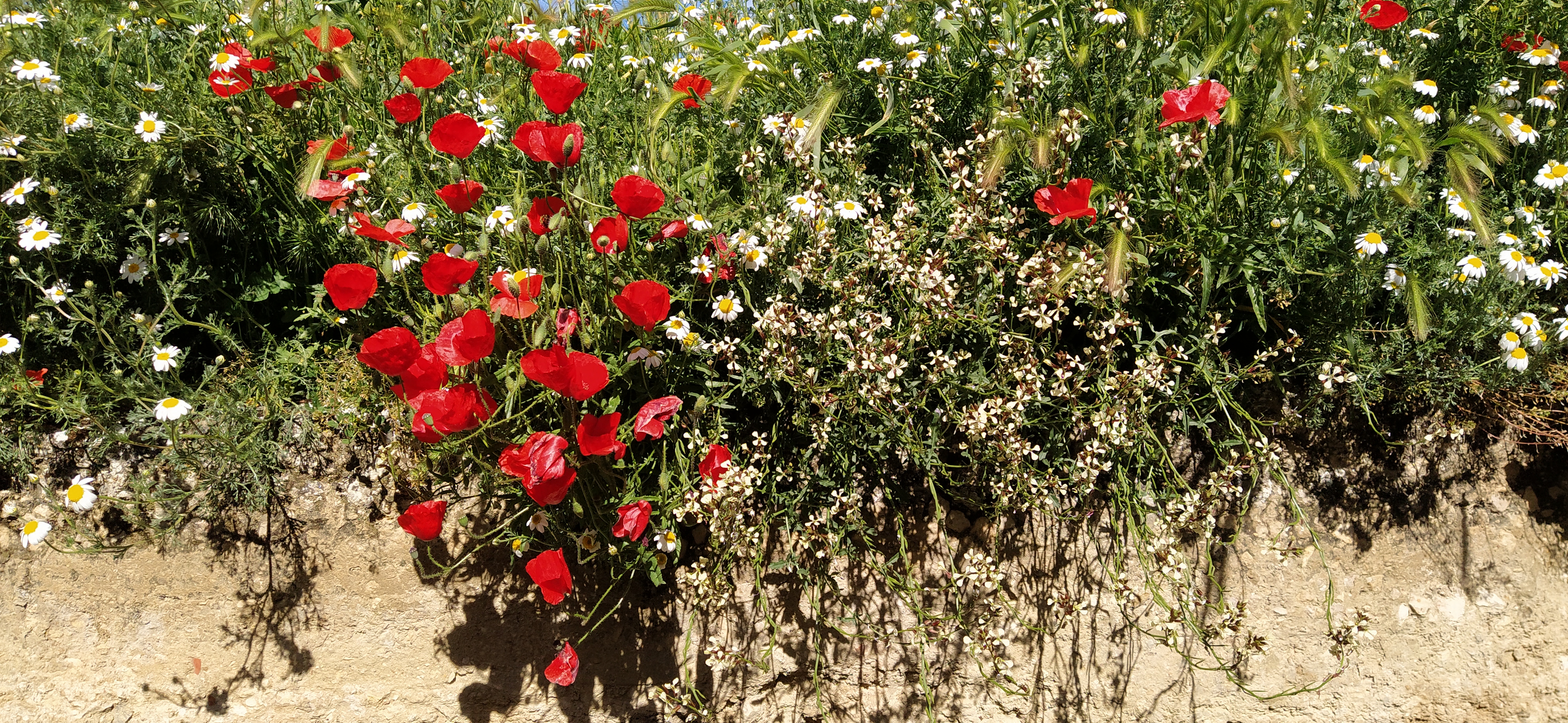 Gaztelako ehundurak 2