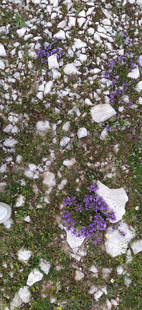 Euskal Herriko ehundurak