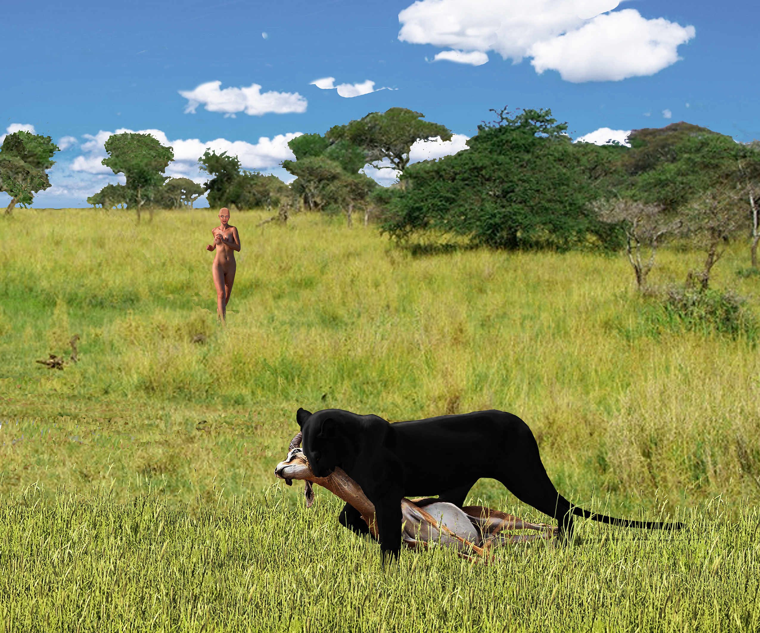 serengeti 120